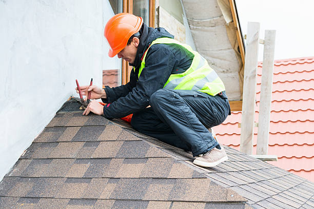 Best Metal Roofing Contractor  in Lowell, MI
