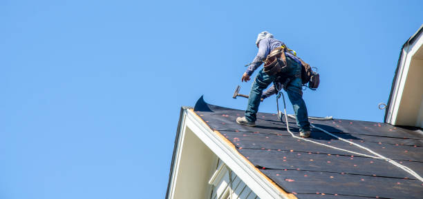 Best Best Roofing Contractors  in Lowell, MI